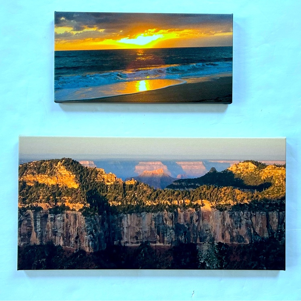 Set of two Canvas Prints Pictures Home Decor